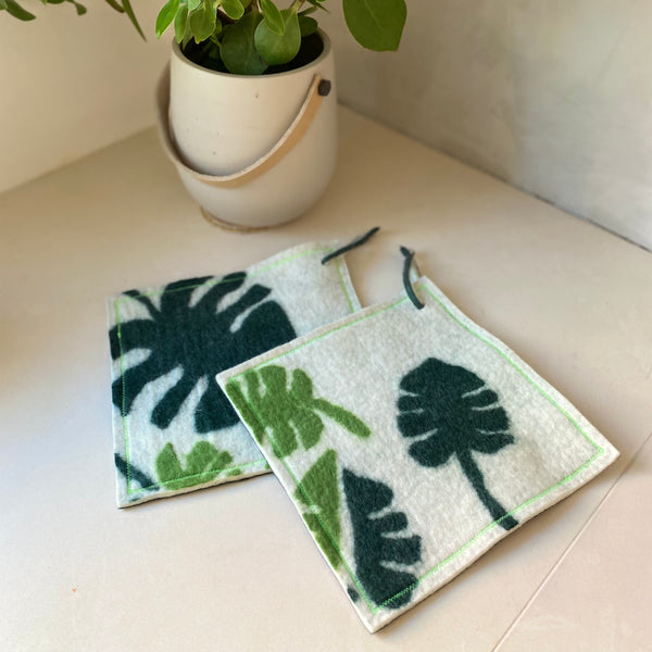 Grytekluter Monstera